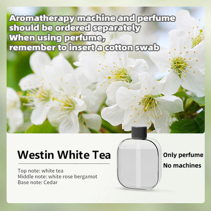 Aromatherapy Diffuser Automatic Scent Sprayer